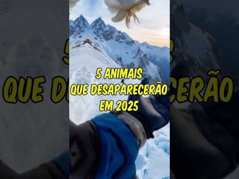 5 animais que desaparecerão em 2025😨