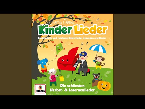 Seht euch an was mein Drachen kann