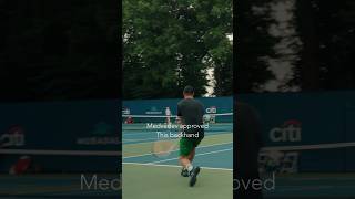 Even Medvedev Approved This Backhand DTL Winner #tennis #tennisplayer #tennislife