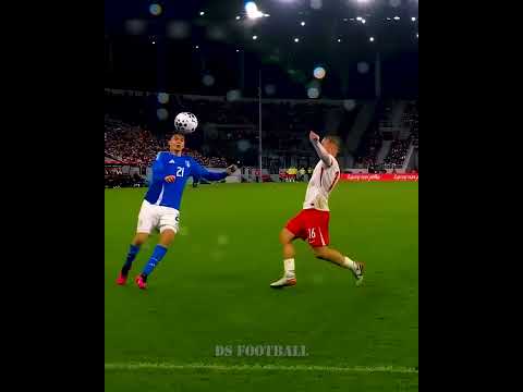 Spaghetti Mafia 🤩