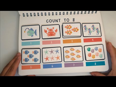 Learning How To Count To 8 With Colors and Sea Animals For Kids