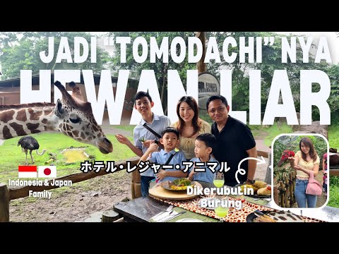Sekeluarga jadi "Tomodachi" nya hewan liar?! ホテル・レジャー・アニマル！