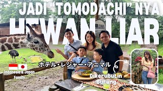 Sekeluarga jadi "Tomodachi" nya hewan liar?! ホテル・レジャー・アニマル！