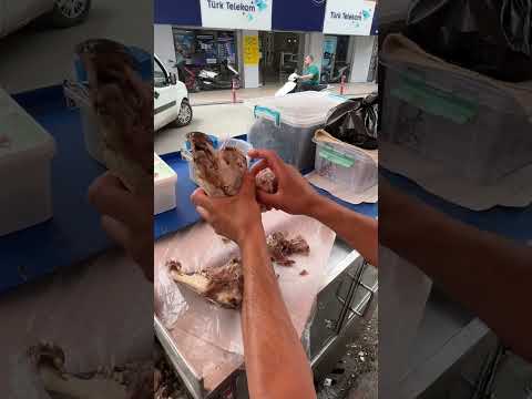 Kelle Yemeyen Kışı Zor Geçirir !