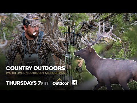 Close Calls Elk Hunting - Zach’s Early Season Colorado Elk Hunt