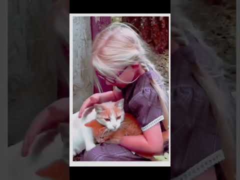 Renaciendo La Felicidad de un Gato que Encontr贸 un Hogar