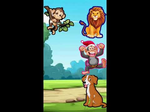 cartoon funny videos