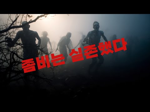 아이티의 좀비 : 역사 속 실존했던 비극적 존재