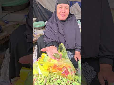 محشى شبت اللى يعيش ياما يشوف