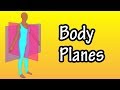 Understanding Body Planes in Anatomy
