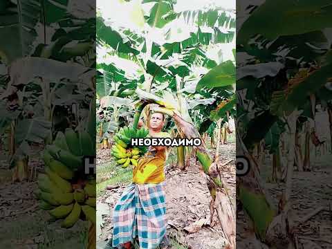 #реальнаяистория