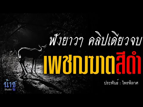 เพชฌฆาตสีดำ! ฟังยาวๆ คลิปเดียวจบ | นิยายเสียง🎙️น้าชู