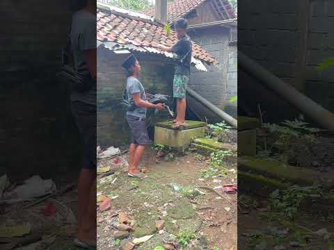 pie kih #sorotan