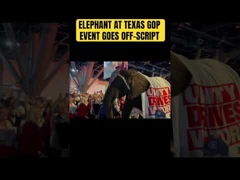HILARIOUS: Elephant at Texas GOP Event Goes Off-Script