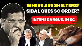 STRAY DOG: ITS ALL YOUR FAULT! INTENSE ARGUMENT IN SC- STAYS PREVIOUS ORDER? #supremecourtofindia