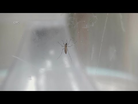YouTube video thumbnail: West Nile Virus Hits Close to Home for one New Mexico Senator