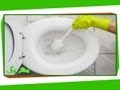 Understanding Bacteria in Everyday Items