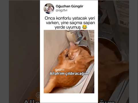 Boşa masraf etmeyin, karton kutu tercihleridir.