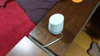 Yet another Rick and Morty Easter egg on google home!