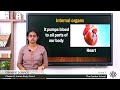 Human Body Organs and Functions
