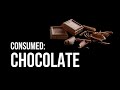 Environmental Impact of Chocolate Production