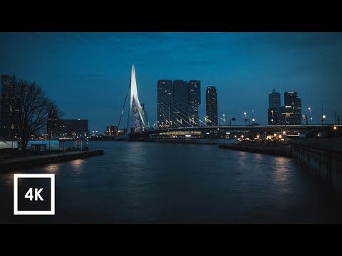 Rotterdam 4K Walking Tour | How is the city vibes after the rain?