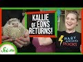 Animal Adaptations and Evolution Concepts