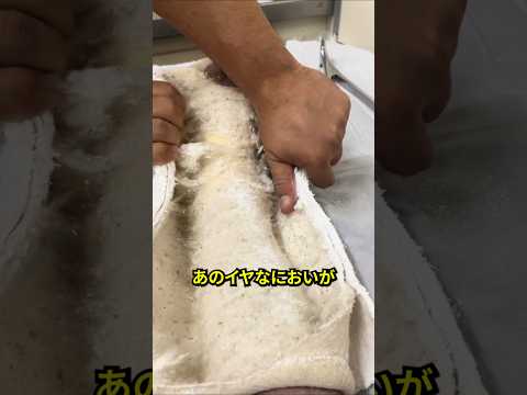 すべてのギプスの下にある汚れた秘密