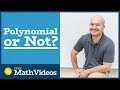 Characteristics of Polynomial Functions