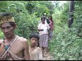 Medicinal Plants and Deforestation in Paraguay