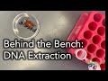 DNA Extraction Procedures and Best Practices