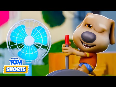 NEW EPISODE! Kite Flying (GONE WRONG) 🪁😱 Talking Tom Shorts (S3 Episode 22)