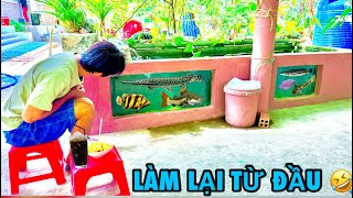 Mất Hết 500k Mua Cá Sấu Hỏa Tiễn Bông Cá Hồng Vĩ Về Làm Cá Cảnh |ATK