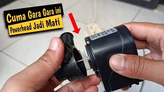 Penyebab Powerhead Mati