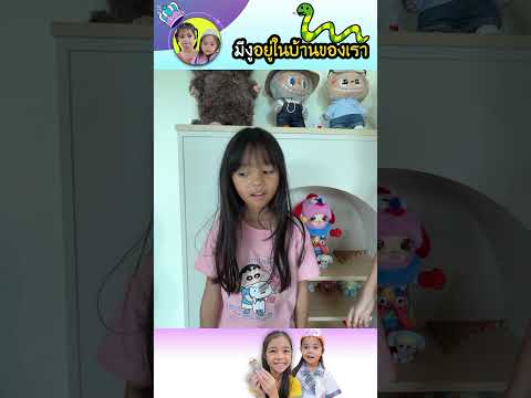 งูตัวสีส้ม คืองูอะไร | บริ้งค์ไบรท์