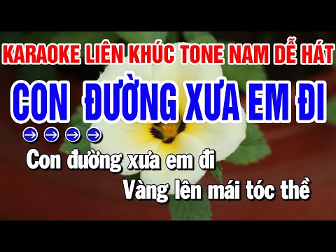 Karaoke Liên Khúc Nhạc Sống Tone Nam | Con Đường Xưa Em Đi