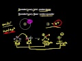 Exploring Acid-Base Definitions and Reactions