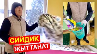 Сийдик жыттанат, Мэр садике рейд кылып жетекчини урушту