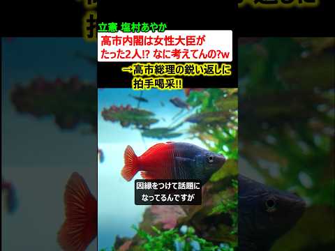 立憲 塩村あやか「高市内閣は女性大臣がたった2人? なに考えてんのw」→高市さんの返しに拍手喝采!!