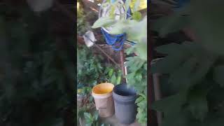 #shortsvideo #viralvideo