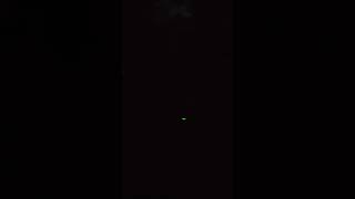Playing fetch with Bo in the dark