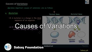 Causes of Variations