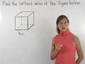Surface Area and Properties of Cubes