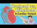 Heart Function and Cardiac Output