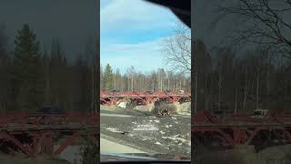Ist bei uns in #lappland schon Frühling? #schweden #auswandern #dayinmylife #vlog