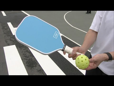 「テニスみたい」アメリカ発祥のスポーツ「ピックルボール」って何？　福岡県吉富町専用コートを整備　道具も無料で貸出し