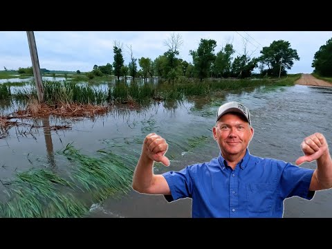 So Begins The Flood Season!! 5” of Rain!!
