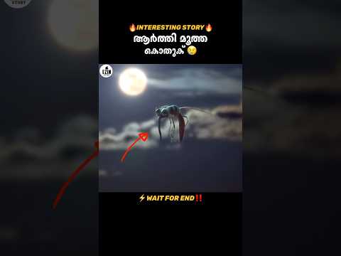 He couldn't stop || #shortsvideo #youtubeshorts #ytshortsindia #trending
