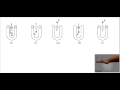 Magnetic Fields and Forces Concepts