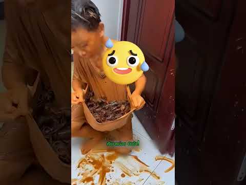 ผีเอาแมลงมาให้พวกเรา 😨🪳